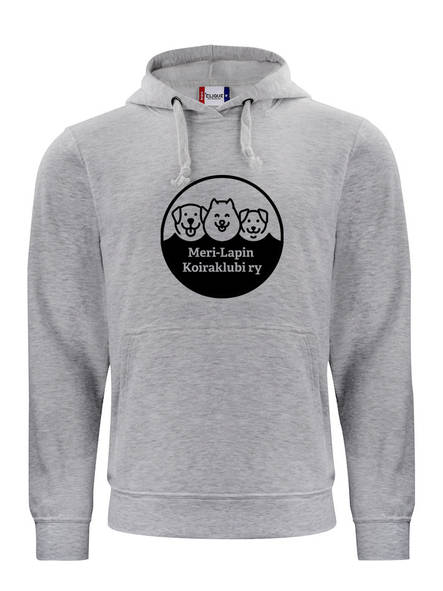 Collegehuppari iso painatus - Colleget ja hupparit - 1011702103101 - 1