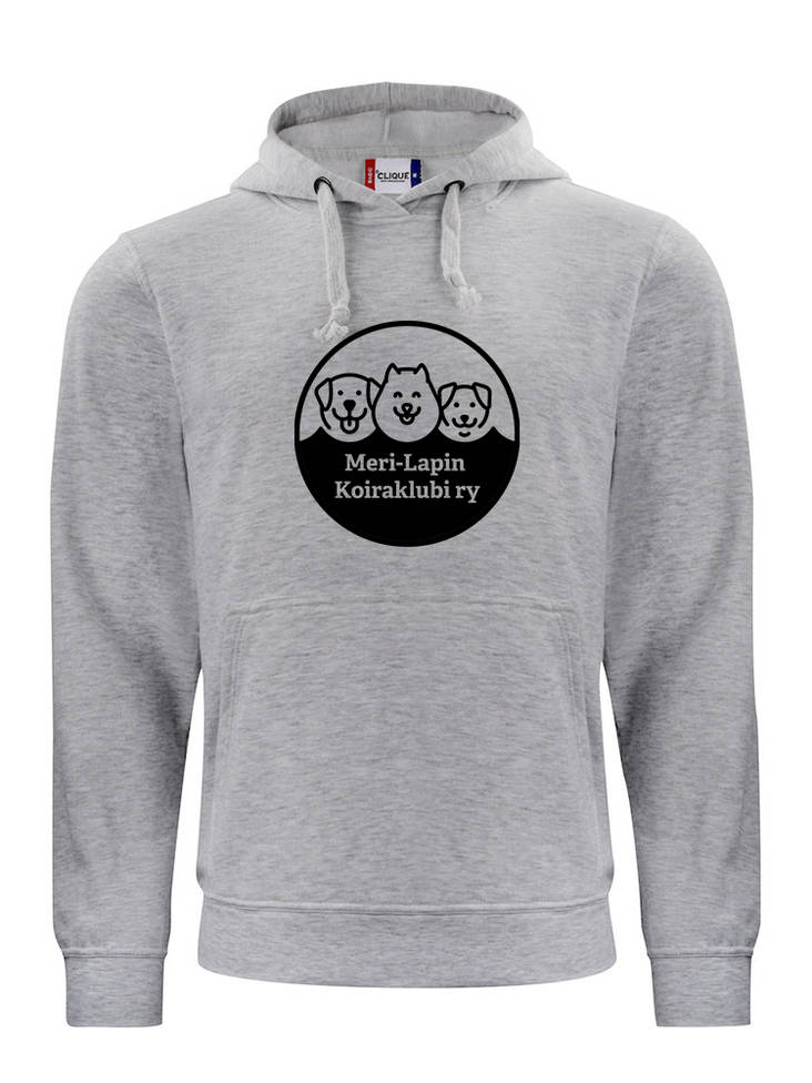 Collegehuppari iso painatus - Colleget ja hupparit - 1011702103101 - 1